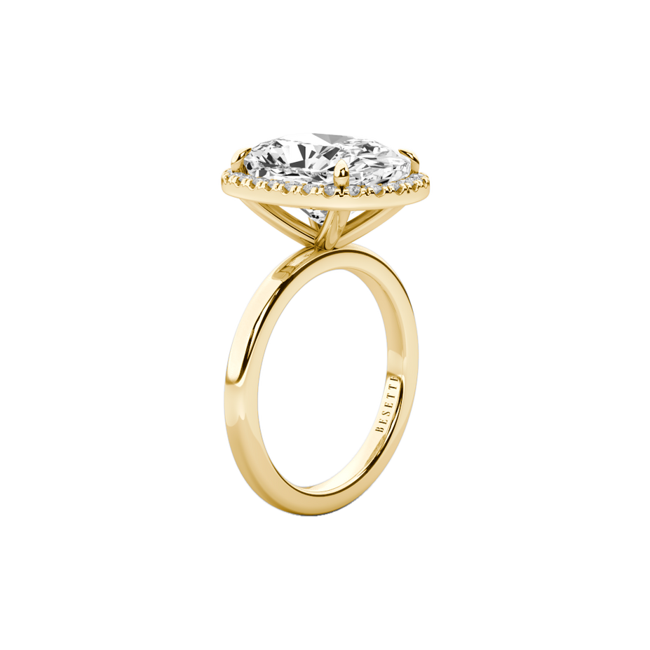 Petite Halo | Elongated Cushion