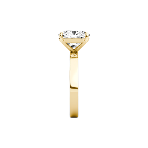 The Claudine | Elongated Cushion